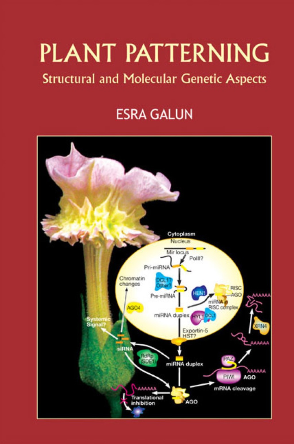 Plant Patterning: Structural And Molecular Genetic Aspects  â€“ PDF/EPUB Version Downloadable