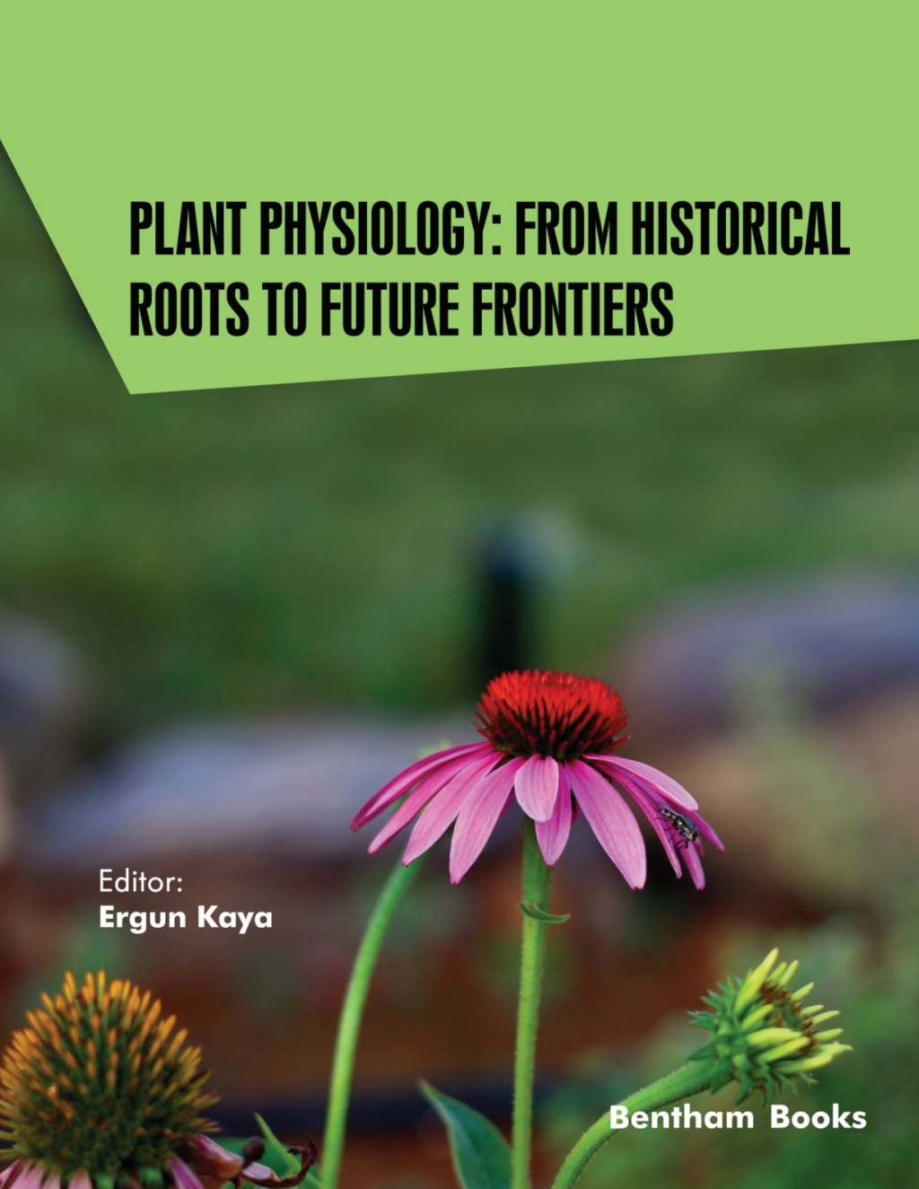 Plant Physiology: From Historical Roots to Future Frontiers 1st Edition â€“ PDF/EPUB Version Downloadable