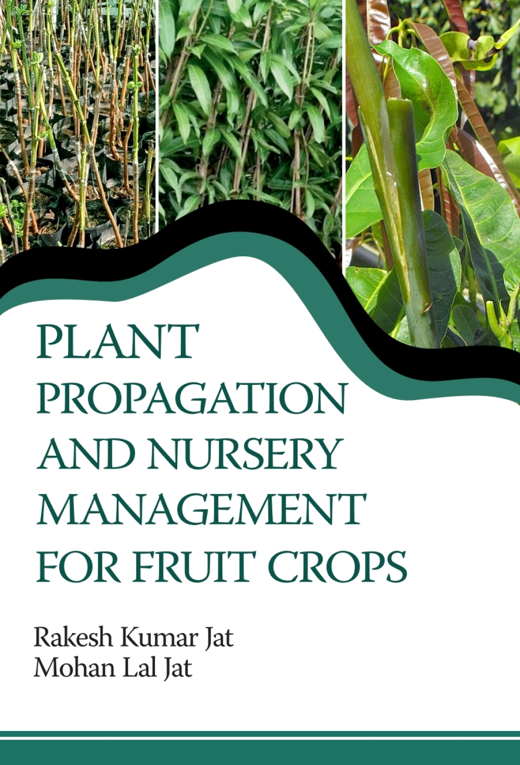 Plant Propagation and Nursery Management For Fruit Crops 1st Edition â€“ PDF/EPUB Version Downloadable