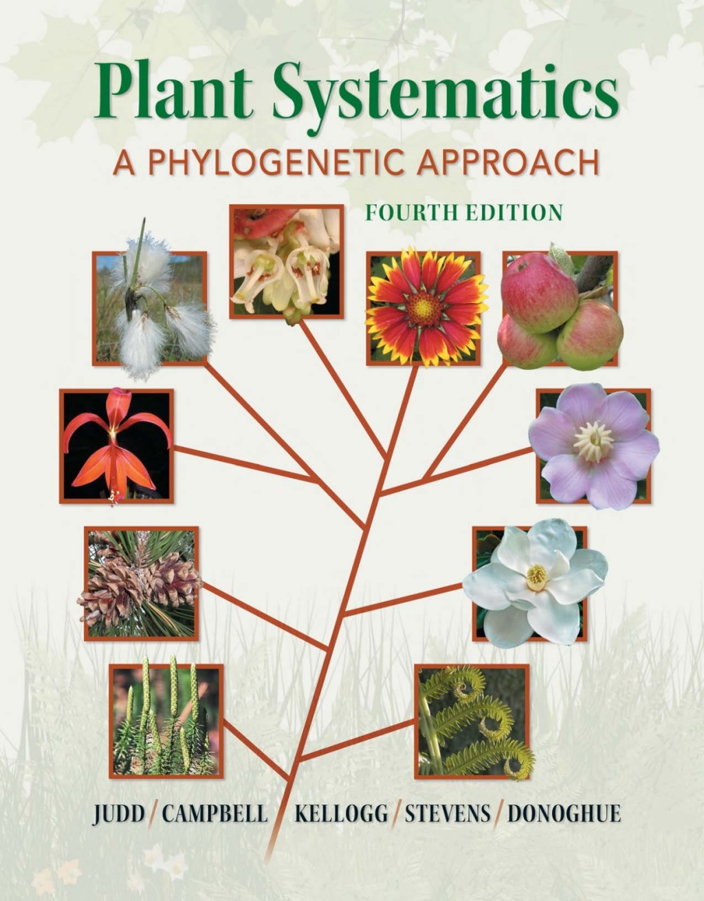 Plant Systematics: A Phylogenetic Approach 4th Edition â€“ PDF/EPUB Version Downloadable