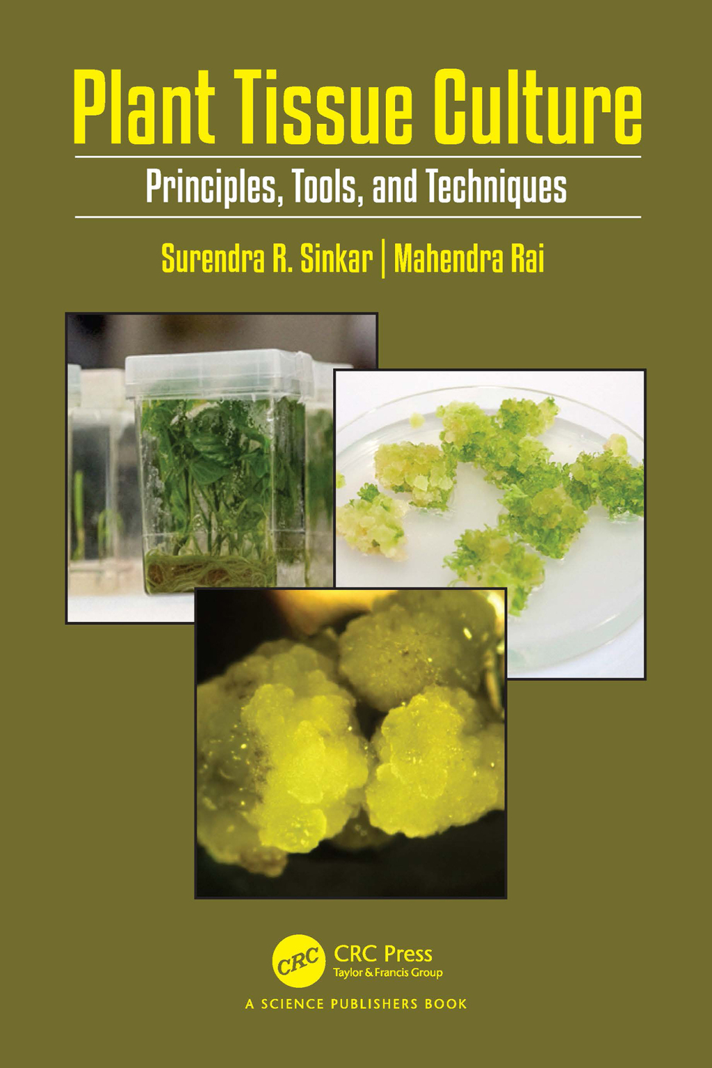 Plant Tissue Culture Principles, Tools, and Techniques 1st Edition â€“ PDF/EPUB Version Downloadable