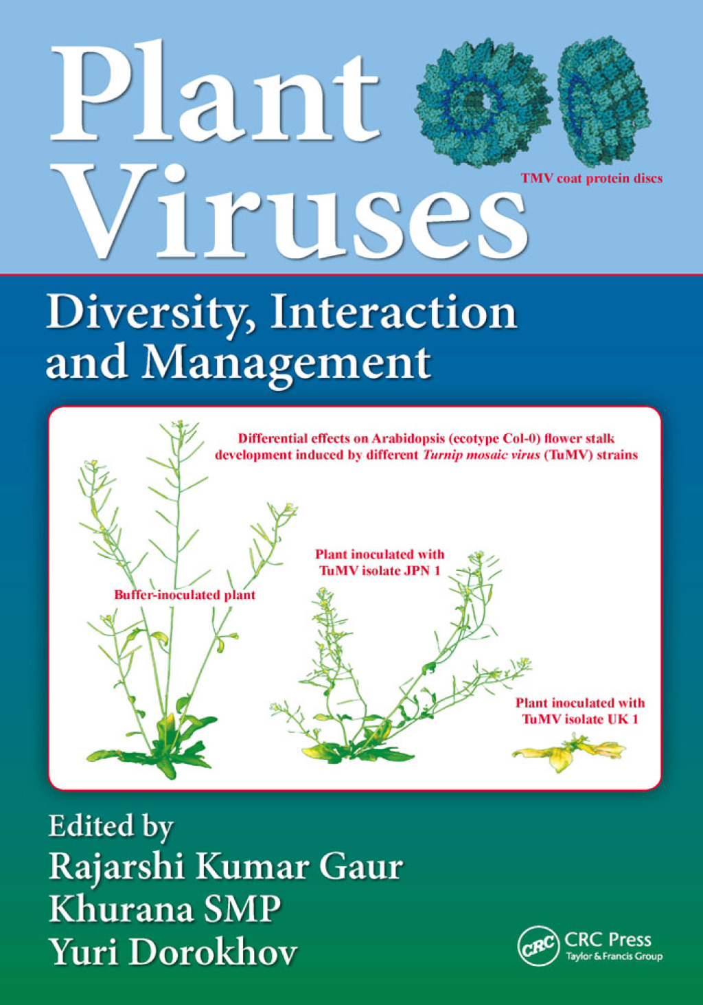 Plant Viruses Diversity, Interaction and Management 1st Edition â€“ PDF/EPUB Version Downloadable