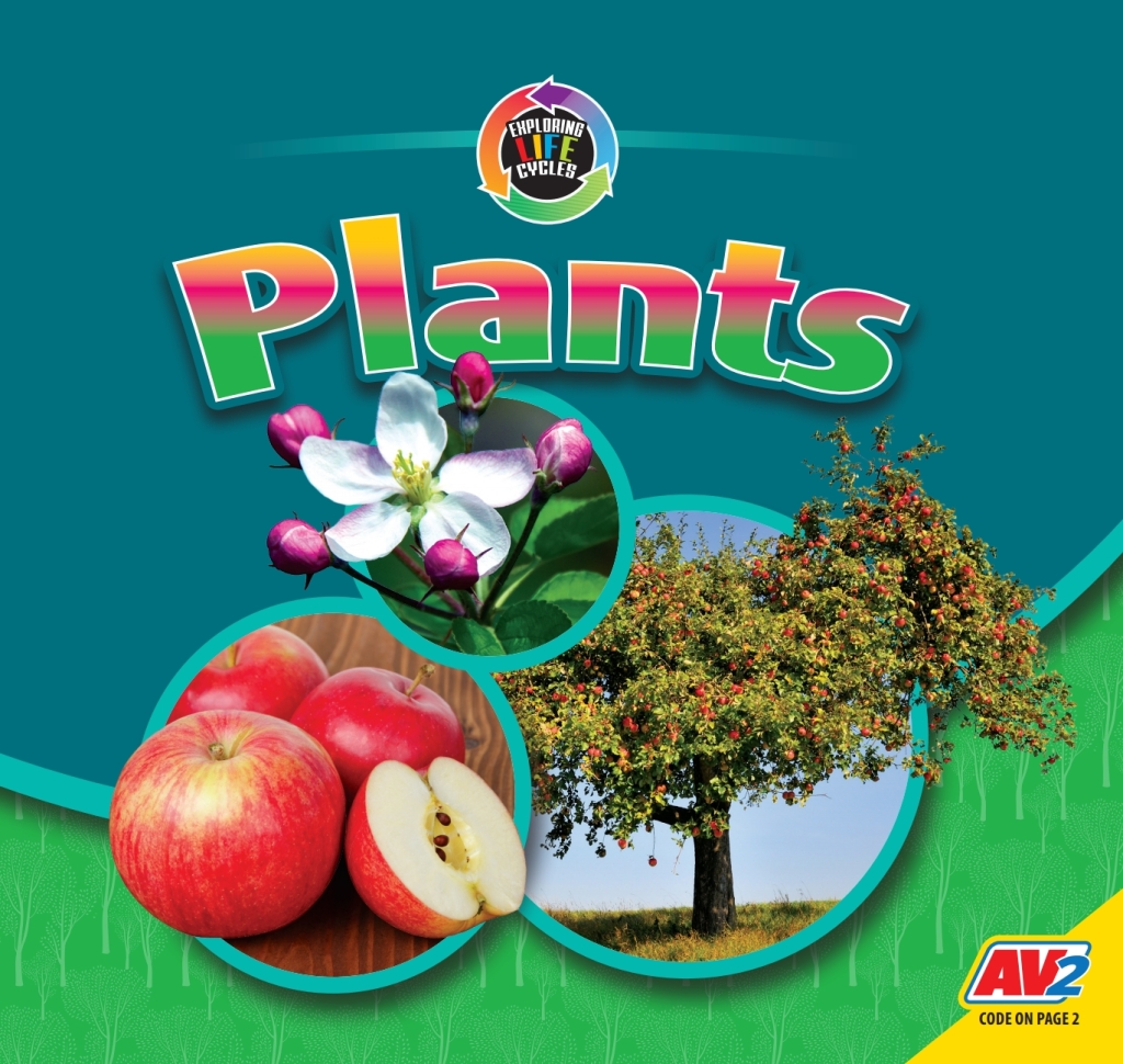 Plants 1st Edition â€“ PDF/EPUB Version Downloadable