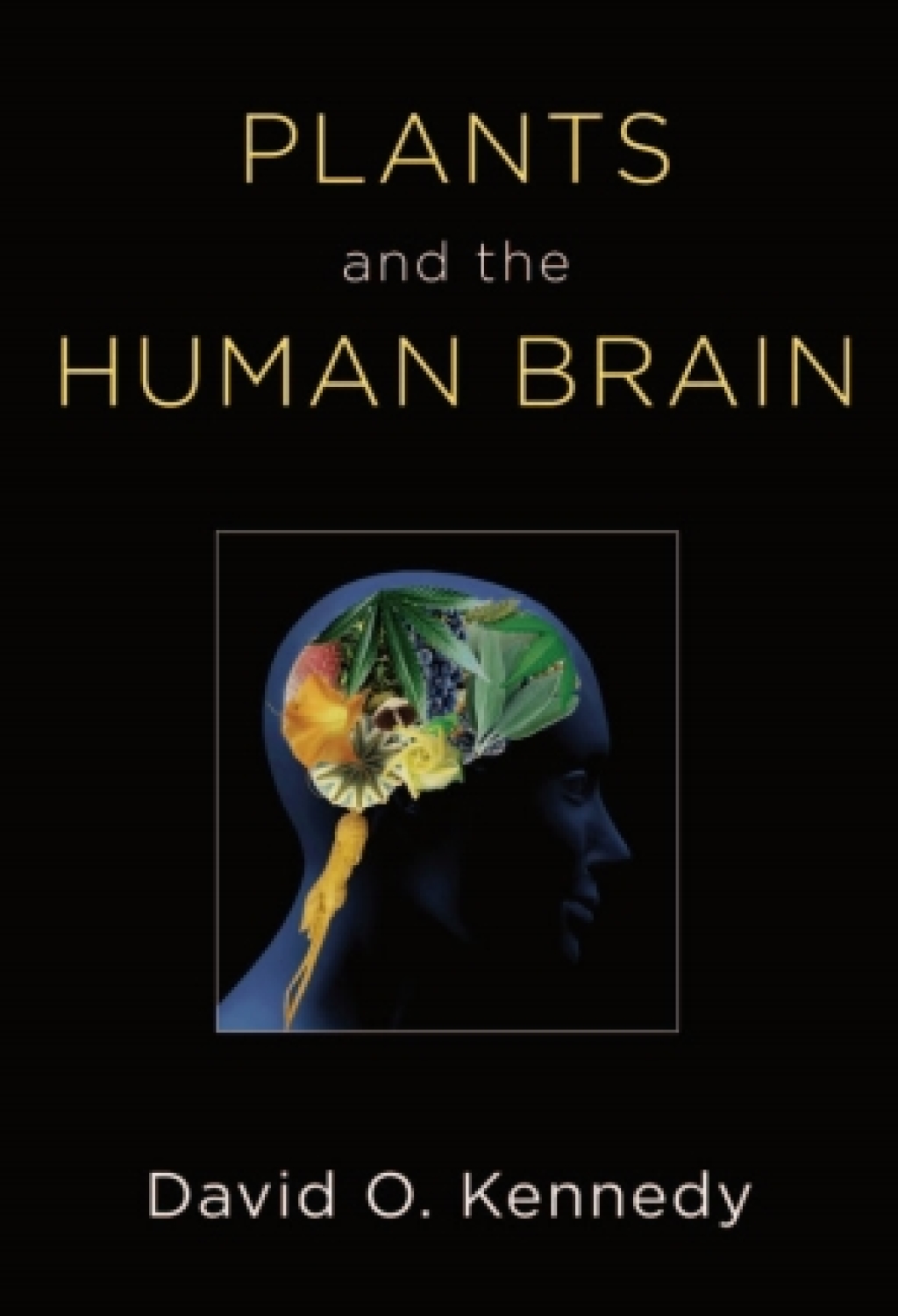 Plants and the Human Brain  â€“ PDF/EPUB Version Downloadable