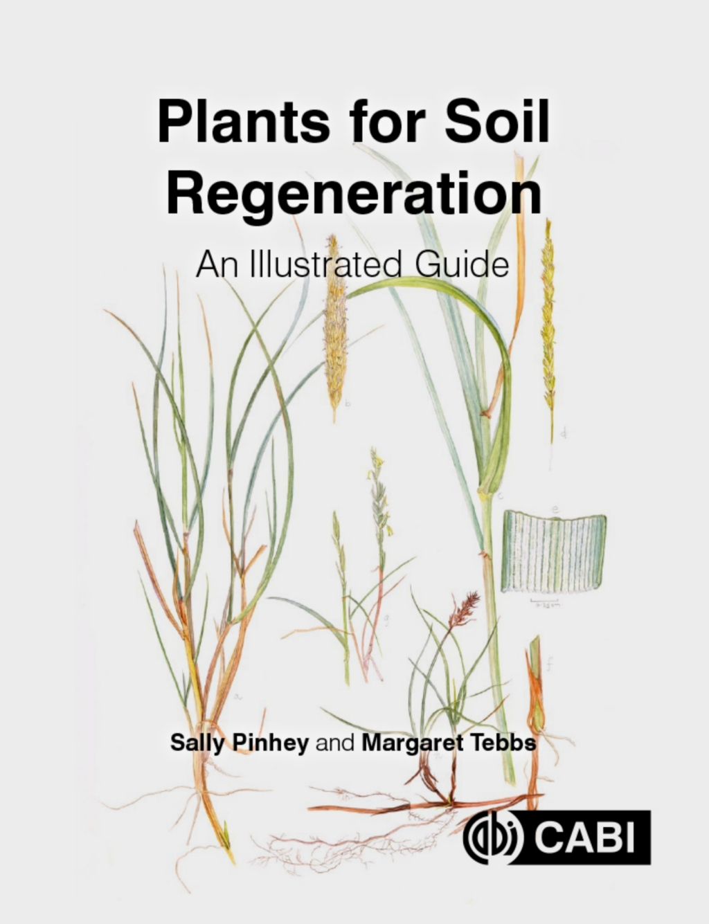 Plants for Soil Regeneration An Illustrated Guide  â€“ PDF/EPUB Version Downloadable