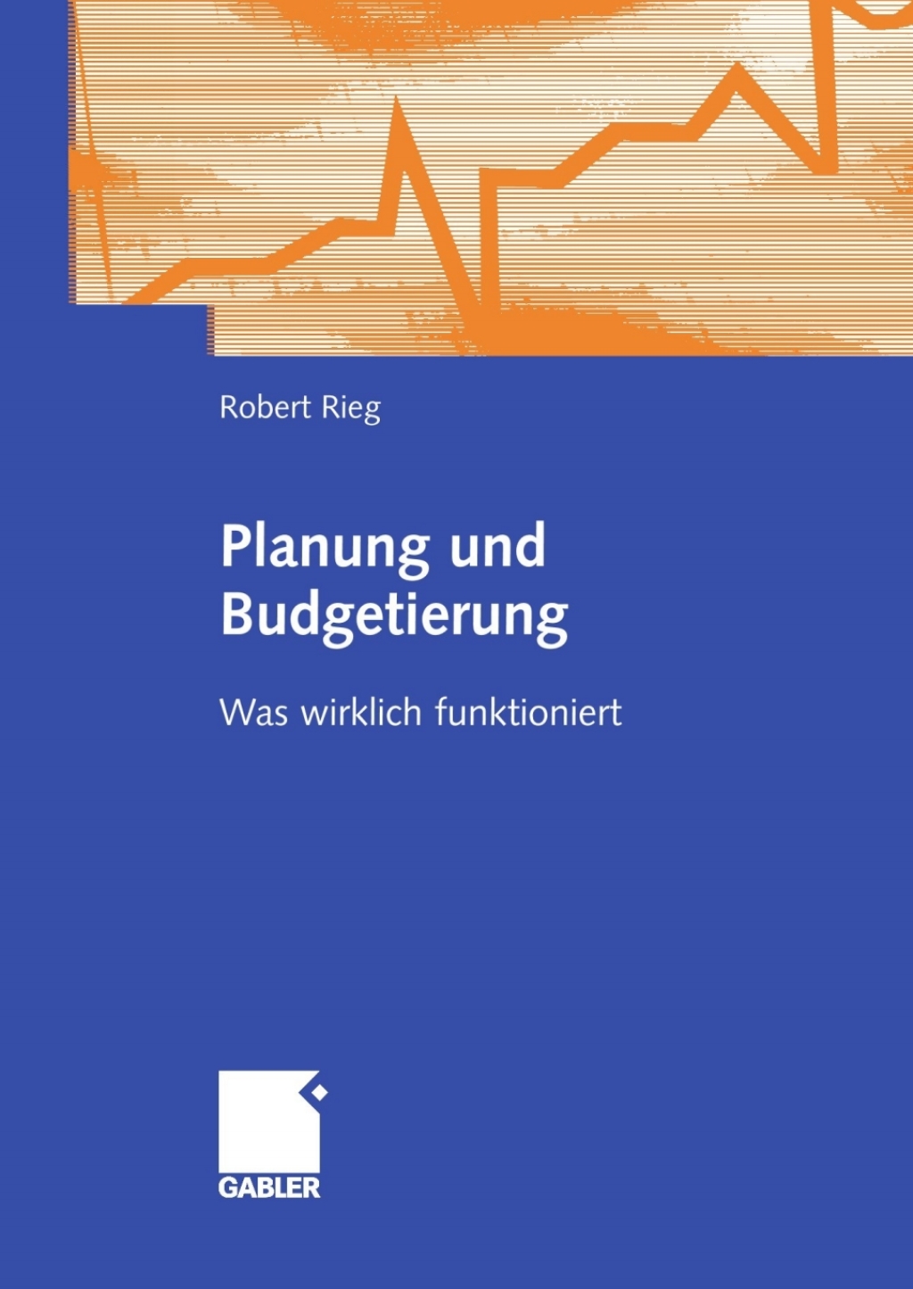 Planung und Budgetierung Was wirklich funktioniert  â€“ PDF/EPUB Version Downloadable