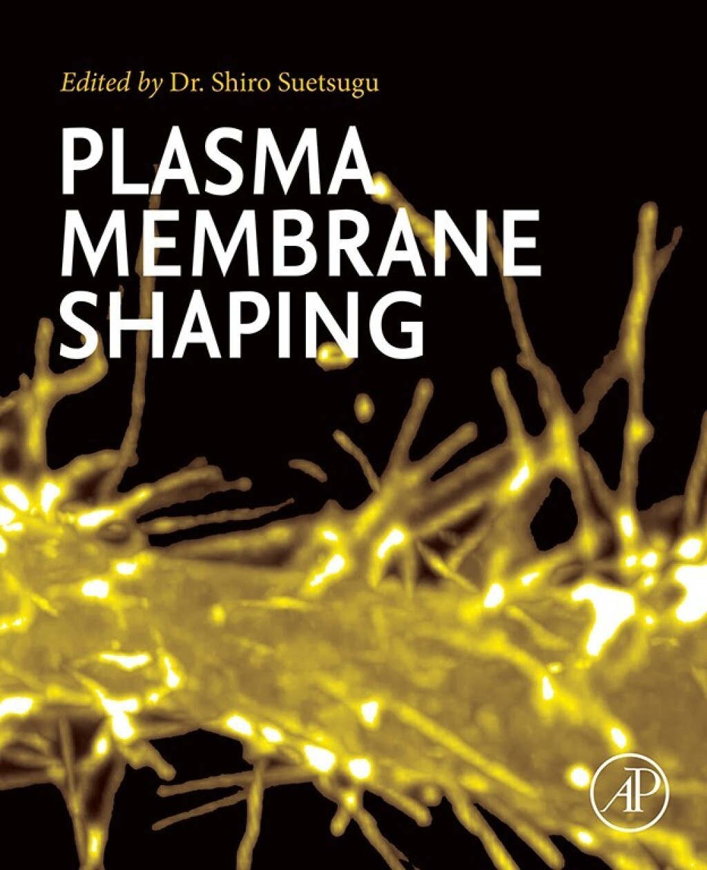 Plasma Membrane Shaping 1st Edition â€“ PDF/EPUB Version Downloadable