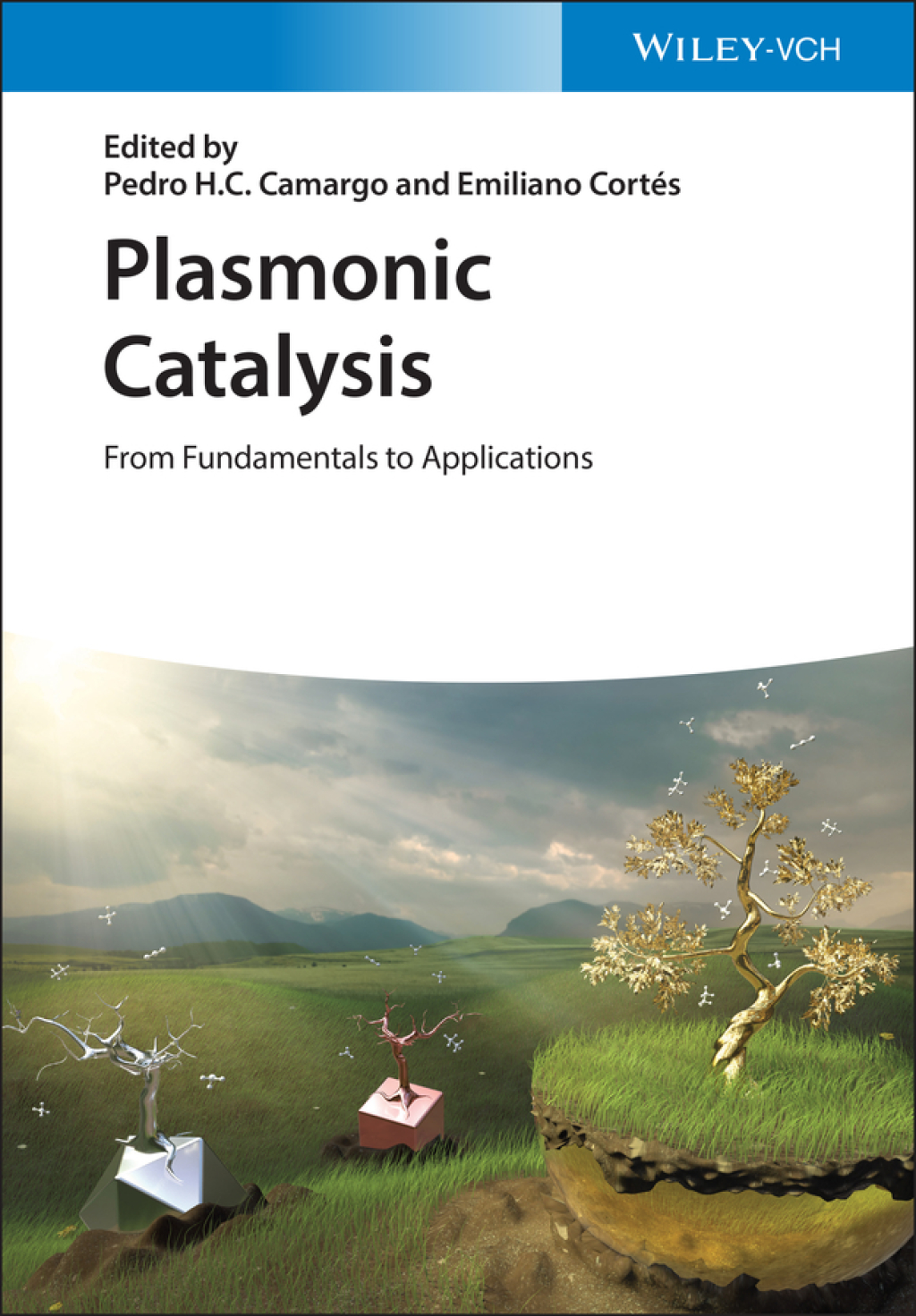 Plasmonic Catalysis From Fundamentals to Applications 1st Edition â€“ PDF/EPUB Version Downloadable