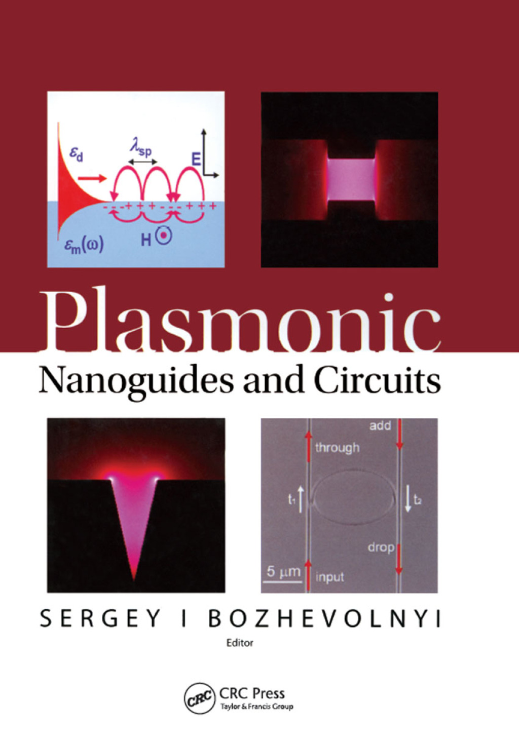 Plasmonic Nanoguides and Circuits 1st Edition â€“ PDF/EPUB Version Downloadable