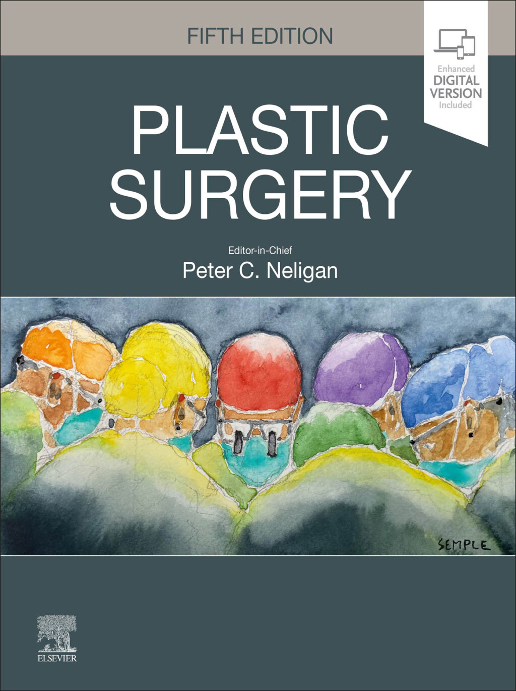 Plastic Surgery: 6-Volume Set 5th Edition â€“ PDF/EPUB Version Downloadable