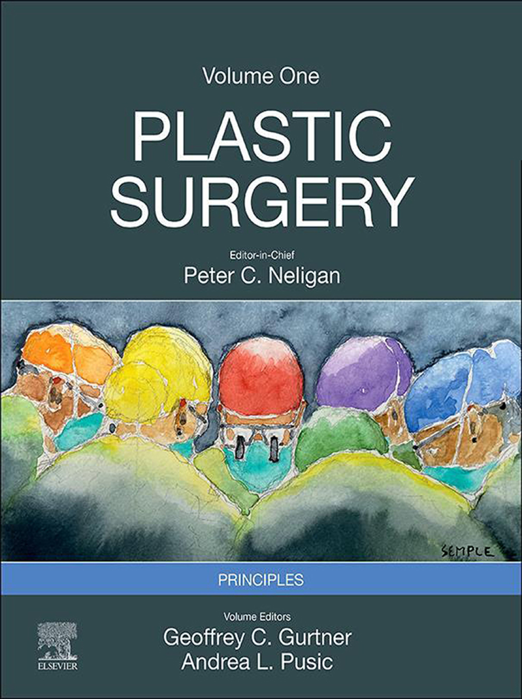 Plastic Surgery Volume 1: Principles 5th Edition â€“ PDF/EPUB Version Downloadable