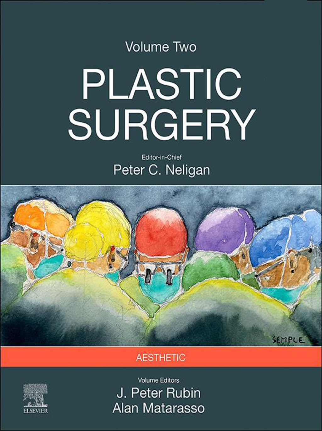 Plastic Surgery Volume 2: Aesthetic Surgery 5th Edition â€“ PDF/EPUB Version Downloadable