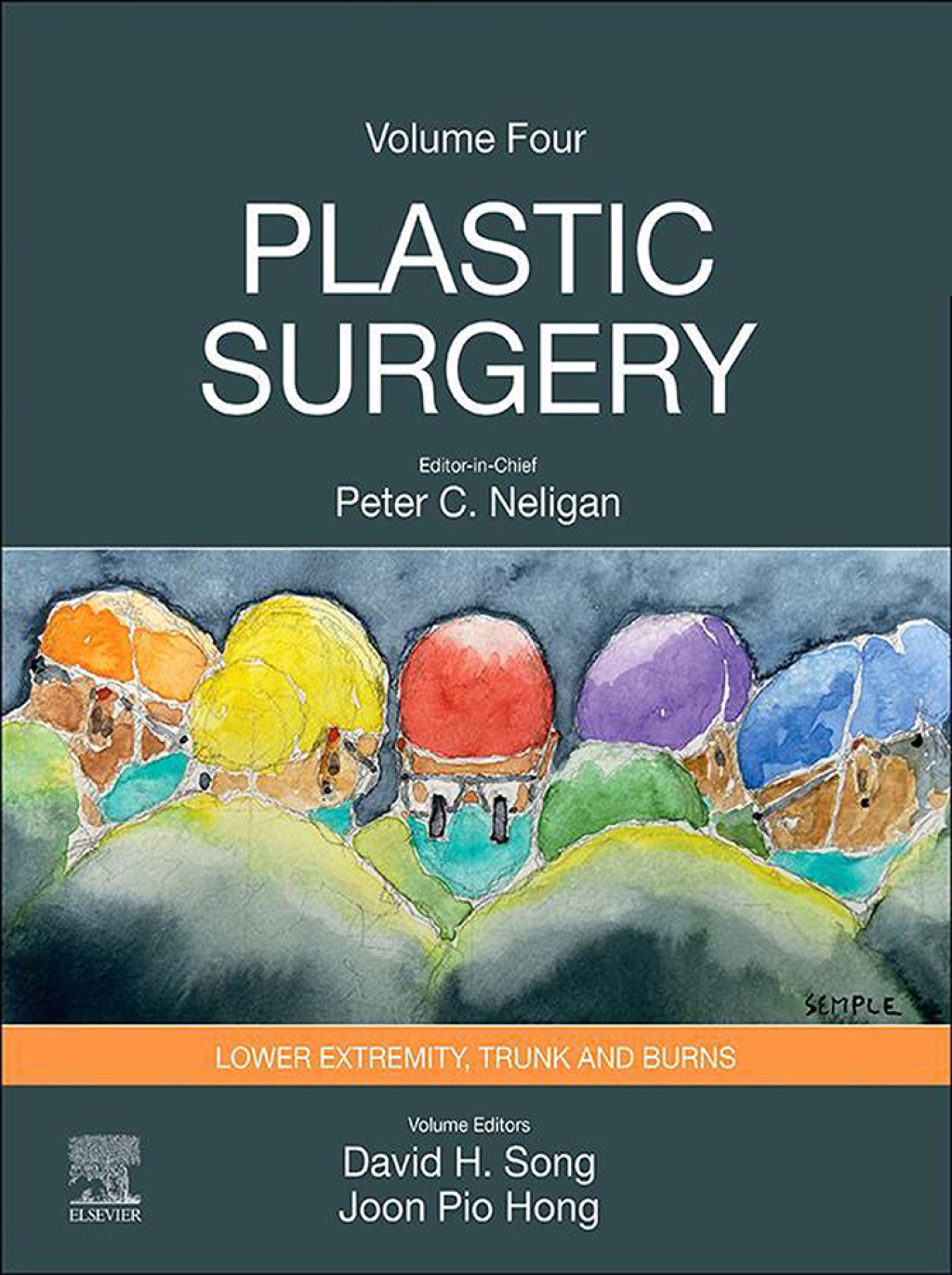 Plastic Surgery Volume 4: Trunk and Lower Extremity 5th Edition â€“ PDF/EPUB Version Downloadable
