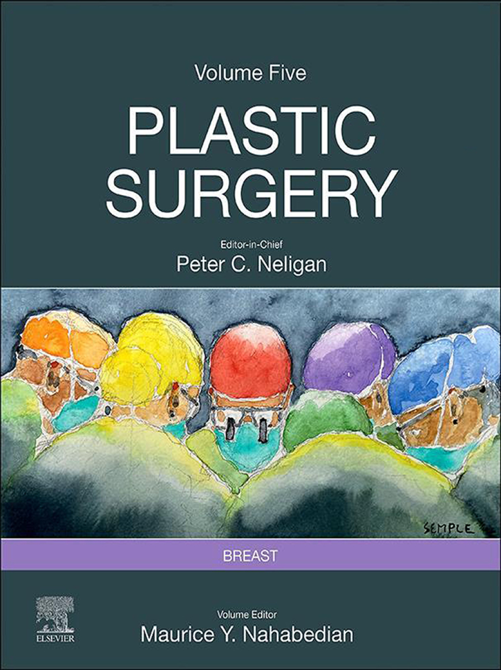 Plastic Surgery Volume 5: Breast 5th Edition â€“ PDF/EPUB Version Downloadable