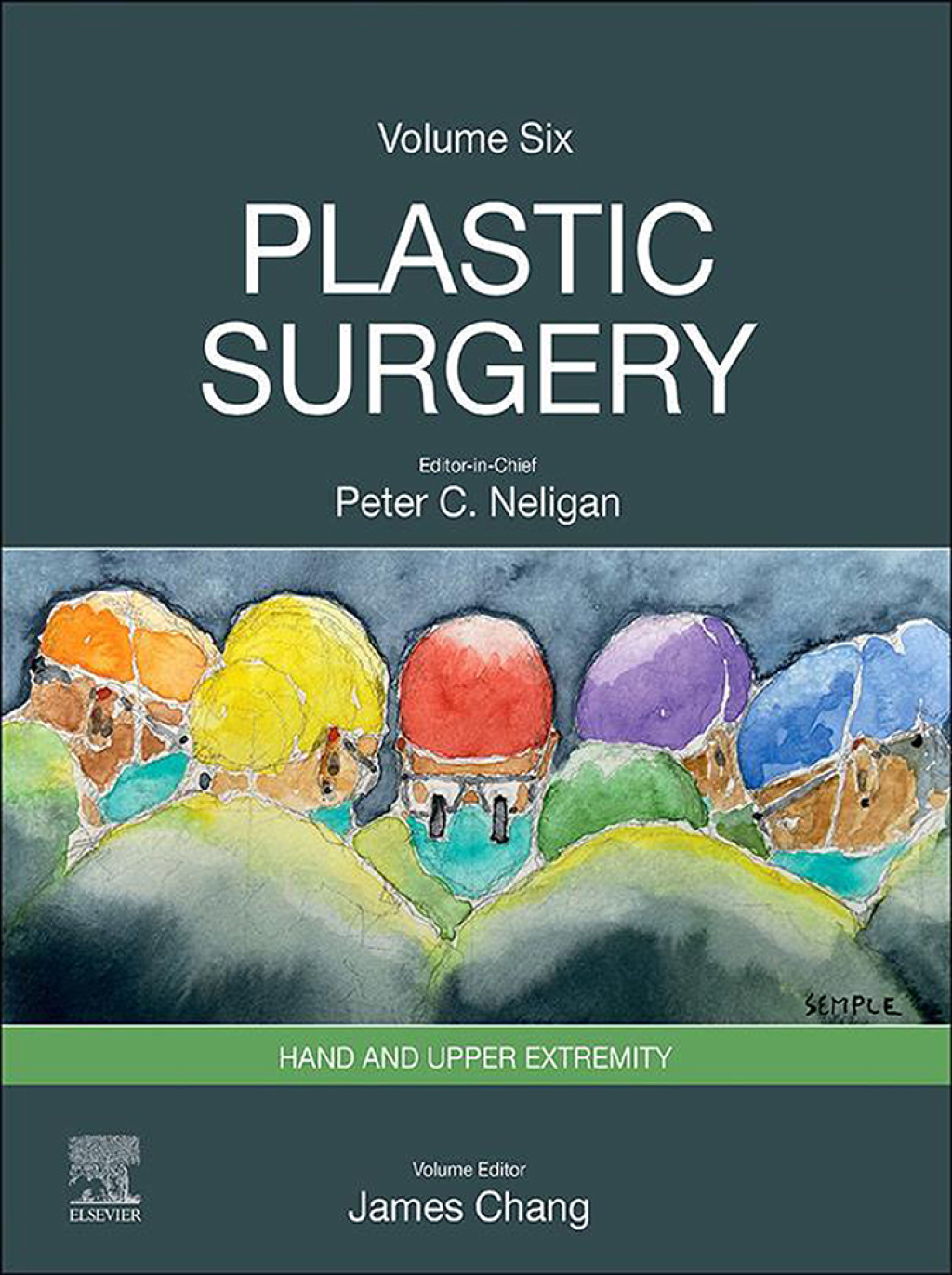 Plastic Surgery Volume 6: Hand and Upper Limb 5th Edition â€“ PDF/EPUB Version Downloadable