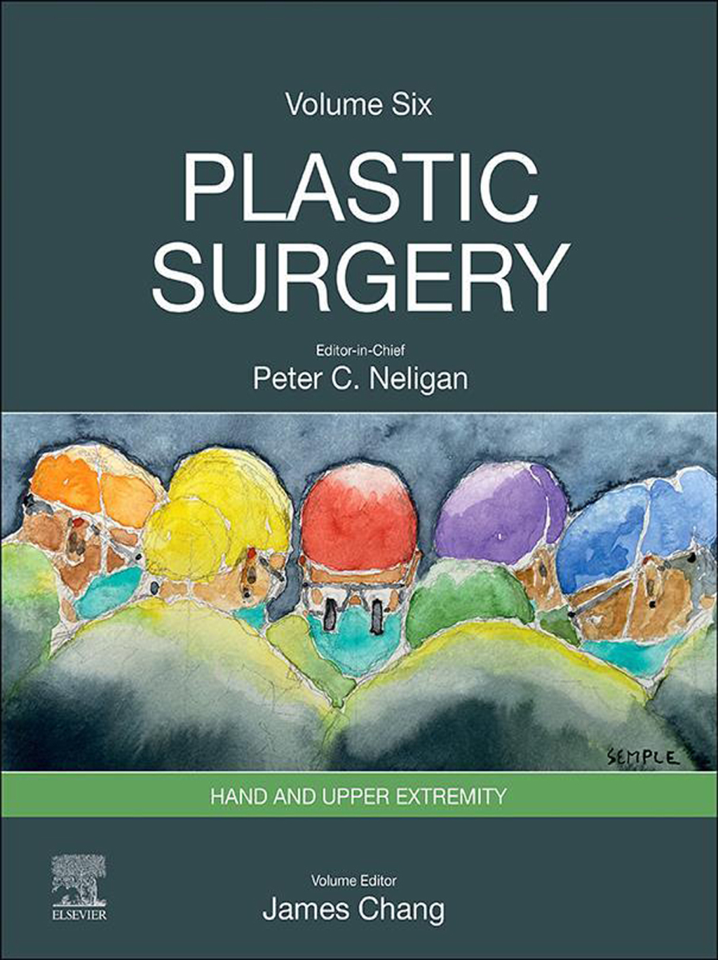Plastic Surgery Volume 6: Hand and Upper Limb 5th Edition â€“ PDF/EPUB Version Downloadable