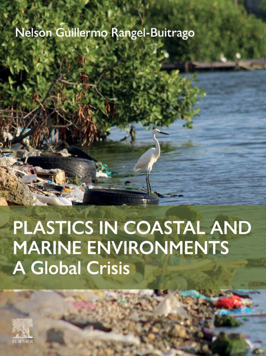 Plastics in Coastal and Marine Environments  â€“ PDF/EPUB Version Downloadable
