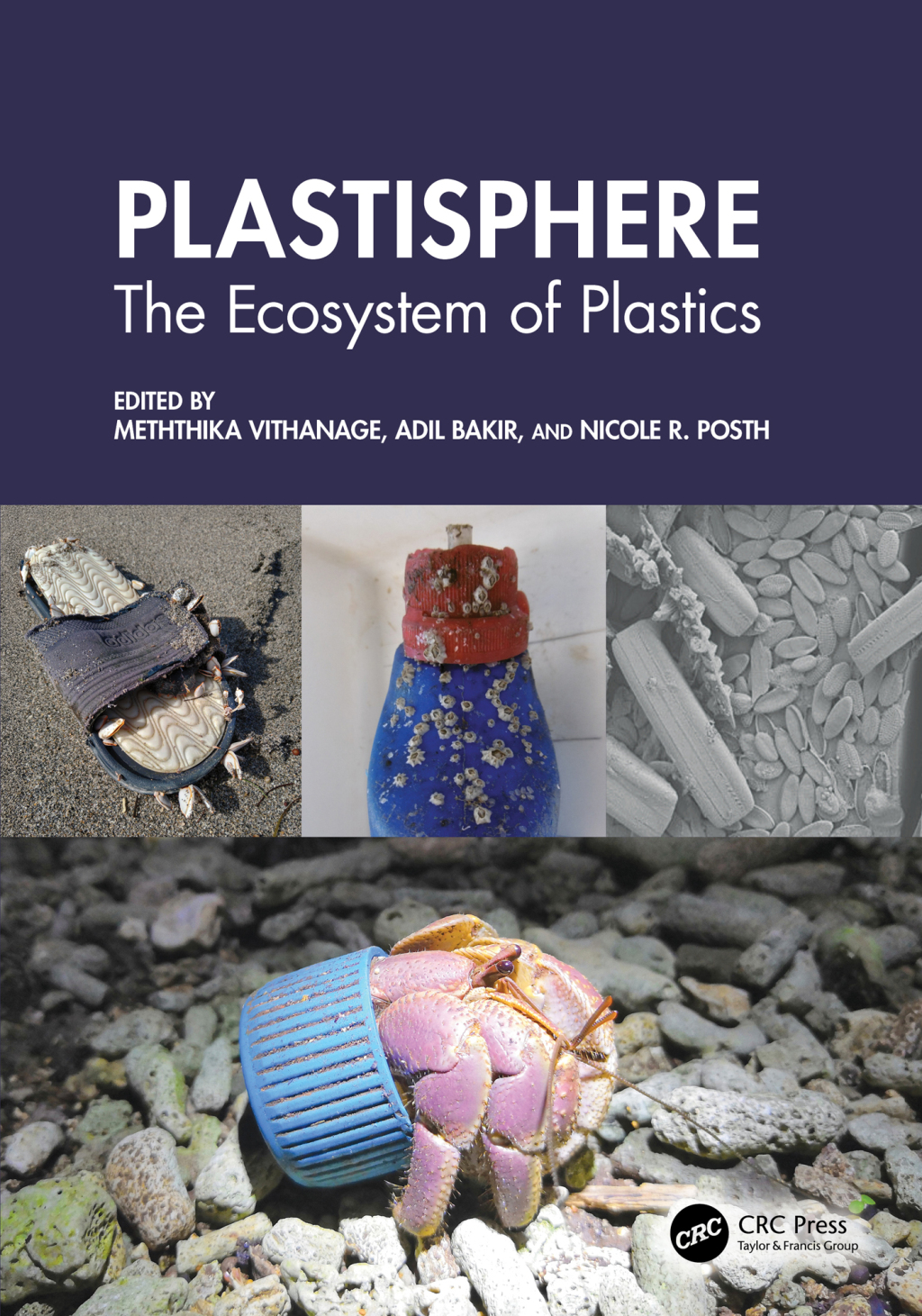 Plastisphere The Ecosystem of Plastics 1st Edition â€“ PDF/EPUB Version Downloadable