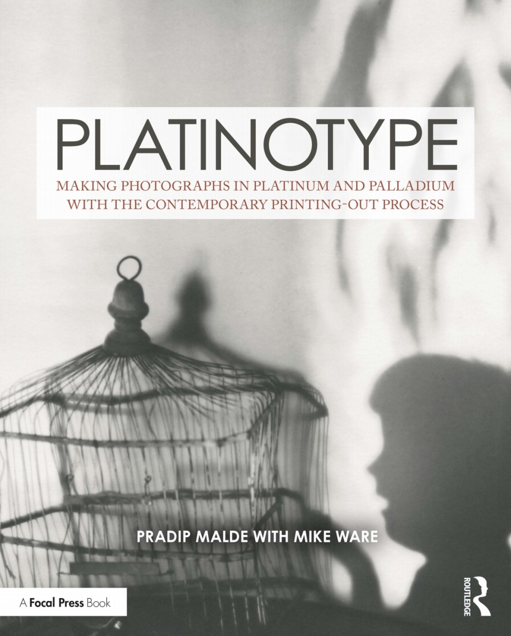 Platinotype Making Photographs in Platinum and Palladium with the Contemporary Printing-out Process 1st Edition â€“ PDF/EPUB Version Downloadable