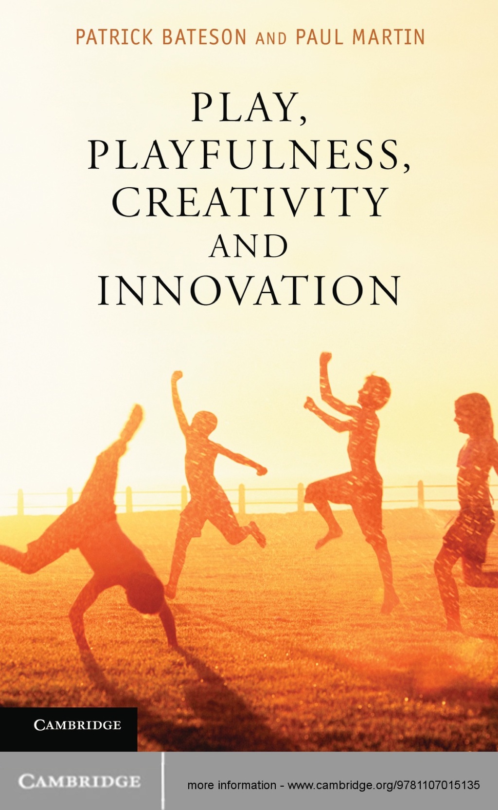 Play, Playfulness, Creativity and Innovation 1st Edition â€“ PDF/EPUB Version Downloadable