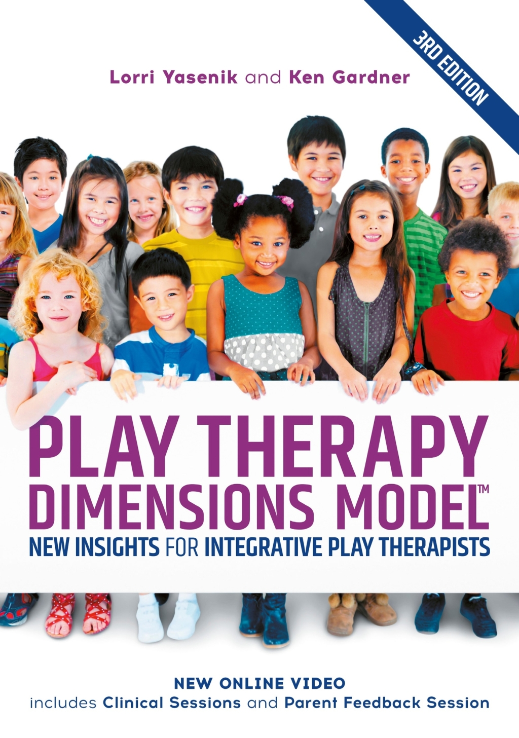 Play Therapy Dimensions Model New Insights for Integrative Play Therapists (3rd edition)  â€“ PDF/EPUB Version Downloadable