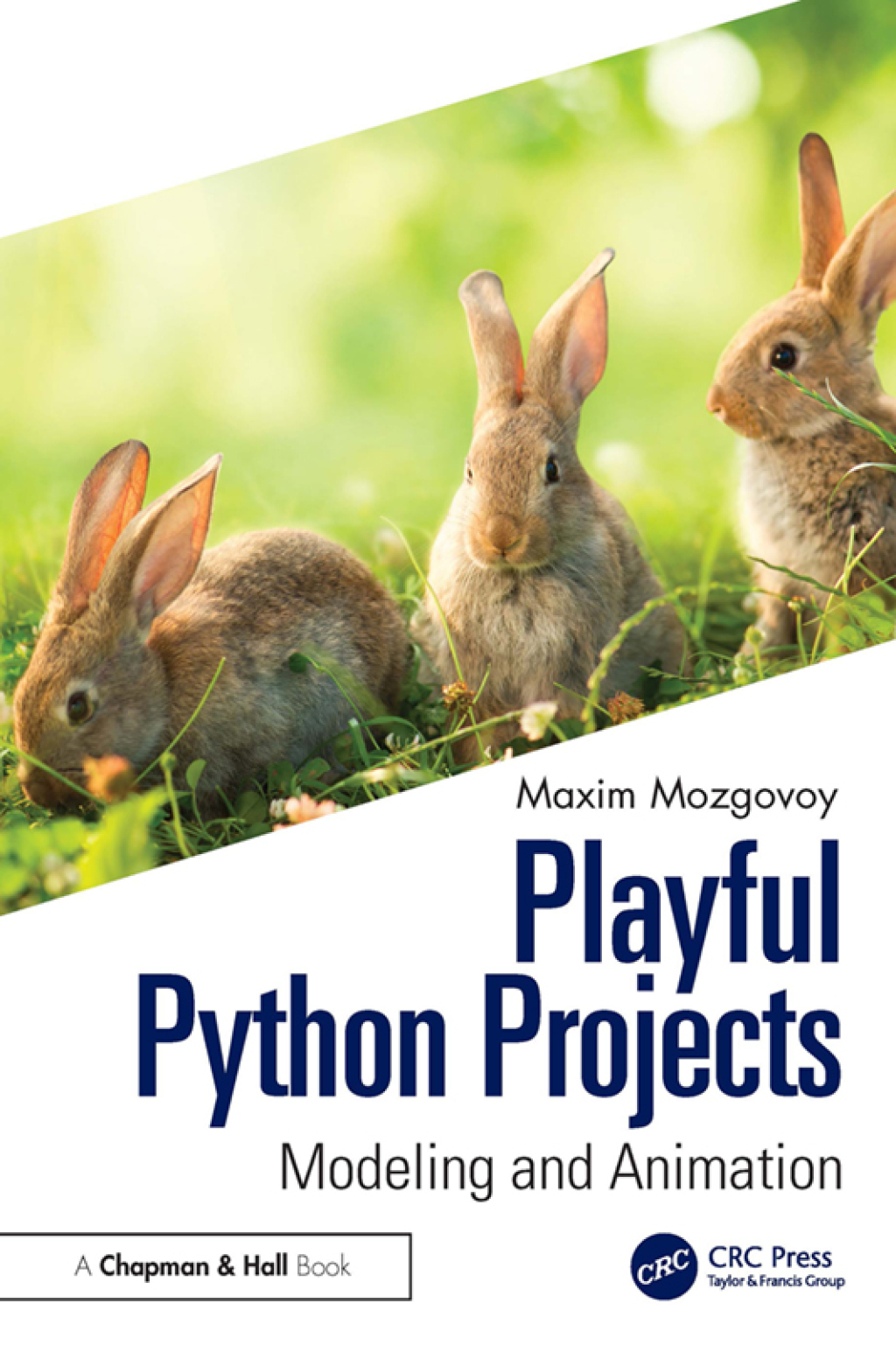 Playful Python Projects Modeling and Animation 1st Edition â€“ PDF/EPUB Version Downloadable