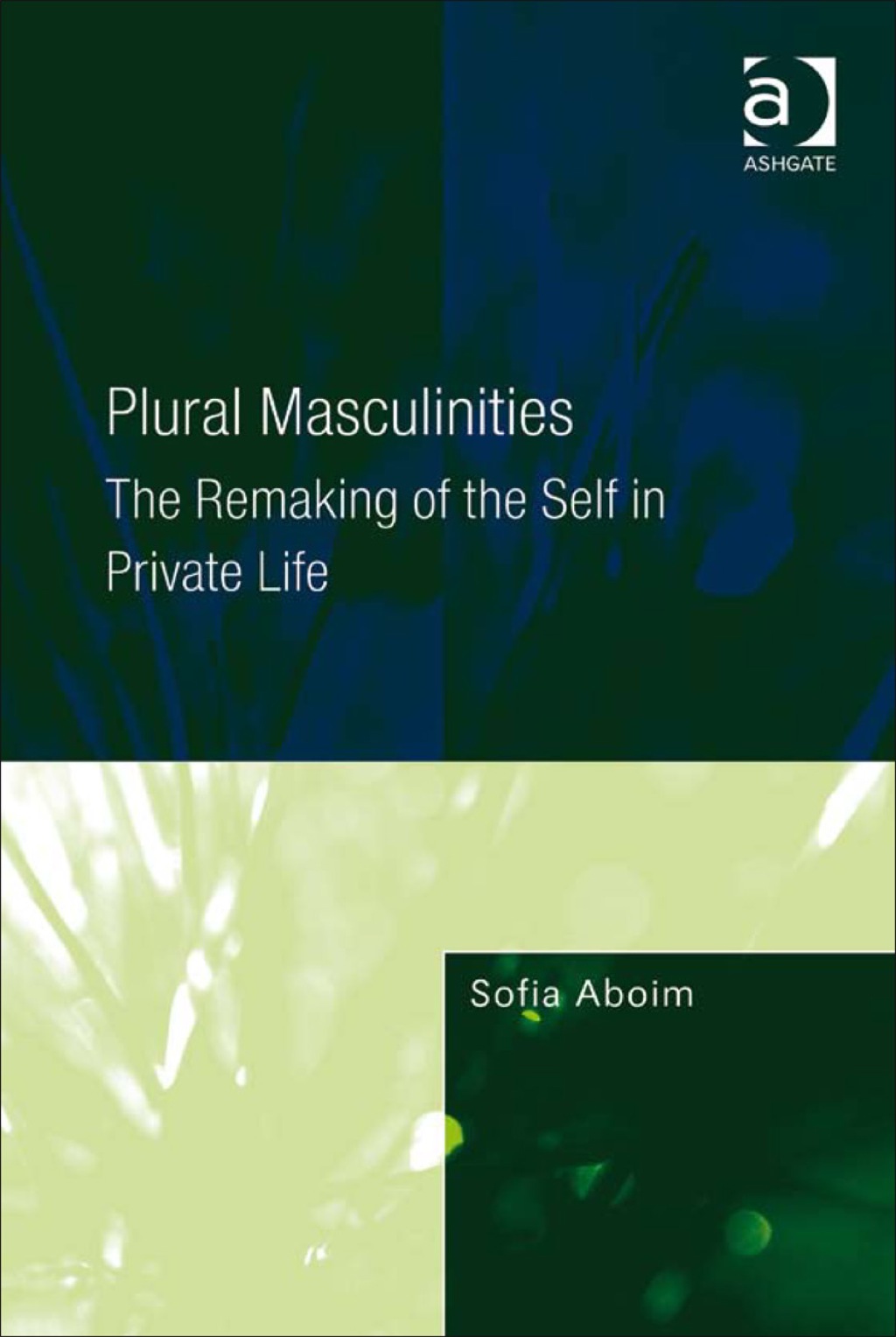 Plural Masculinities: The Remaking of the Self in Private Life  â€“ PDF/EPUB Version Downloadable