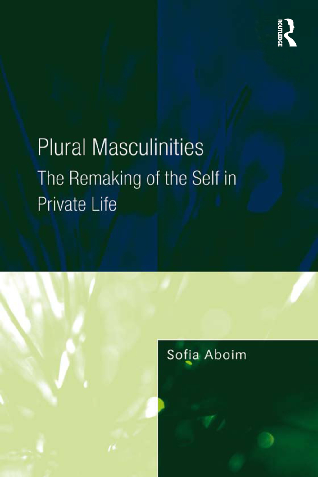 Plural Masculinities The Remaking of the Self in Private Life 1st Edition â€“ PDF/EPUB Version Downloadable