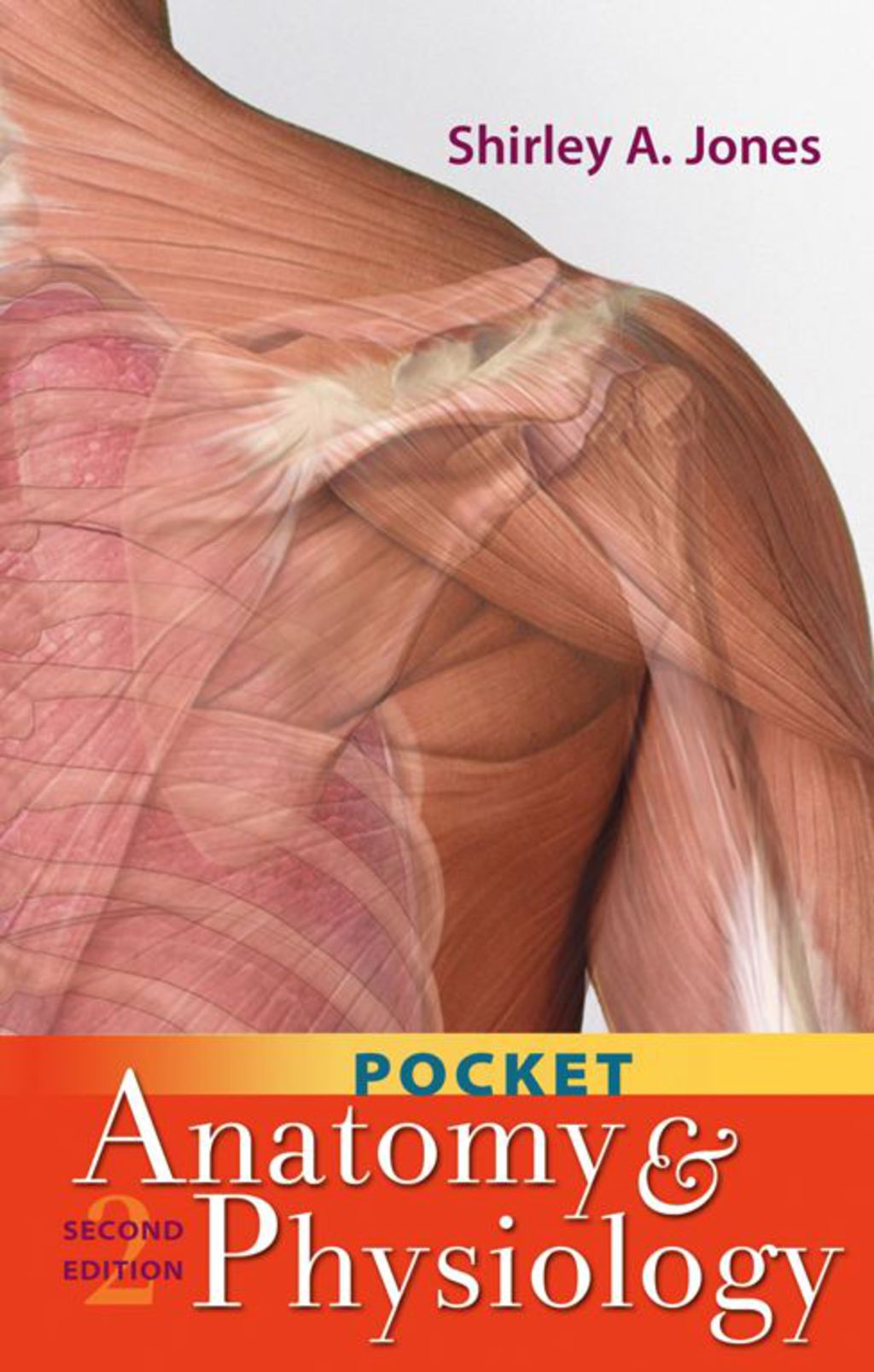 Pocket Anatomy and Physiology 2nd Edition - (PDF/EPUB Version)