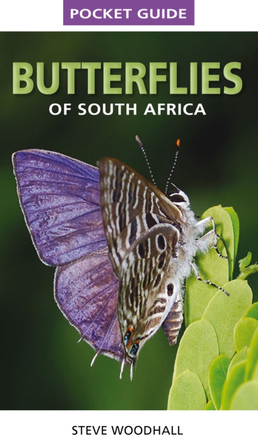 Pocket Guide Butterflies of South Africa 1st Edition - (PDF/EPUB Version)