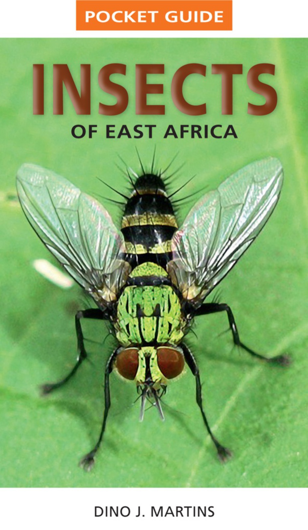 Pocket Guide Insects of East Africa 1st Edition - (PDF/EPUB Version)