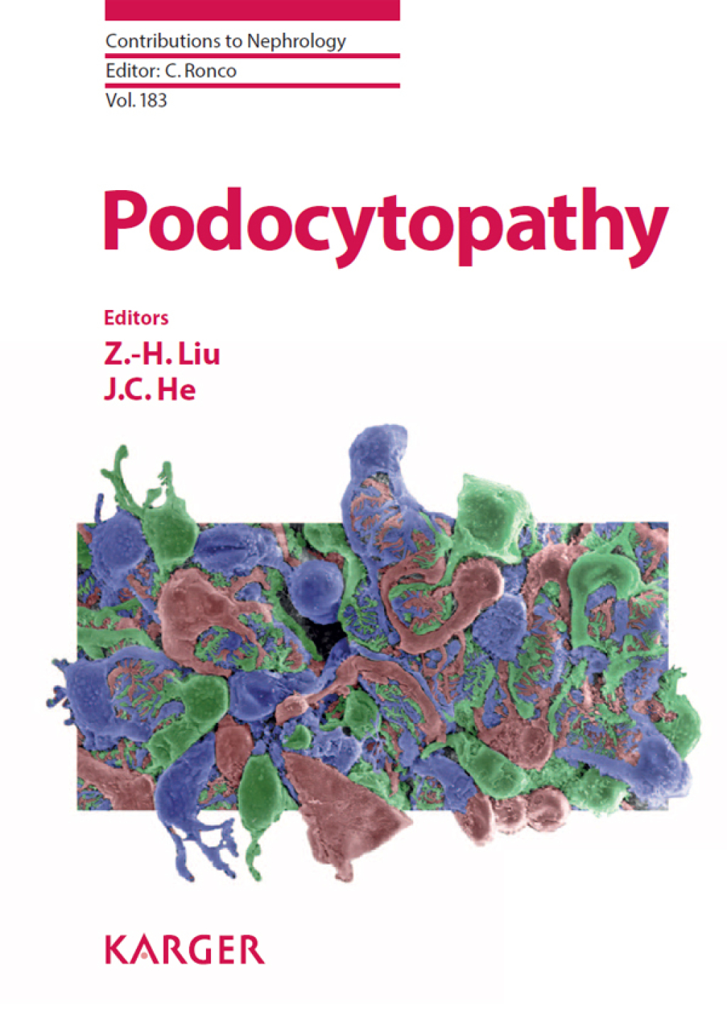Podocytopathy 1st Edition â€“ PDF/EPUB Version Downloadable