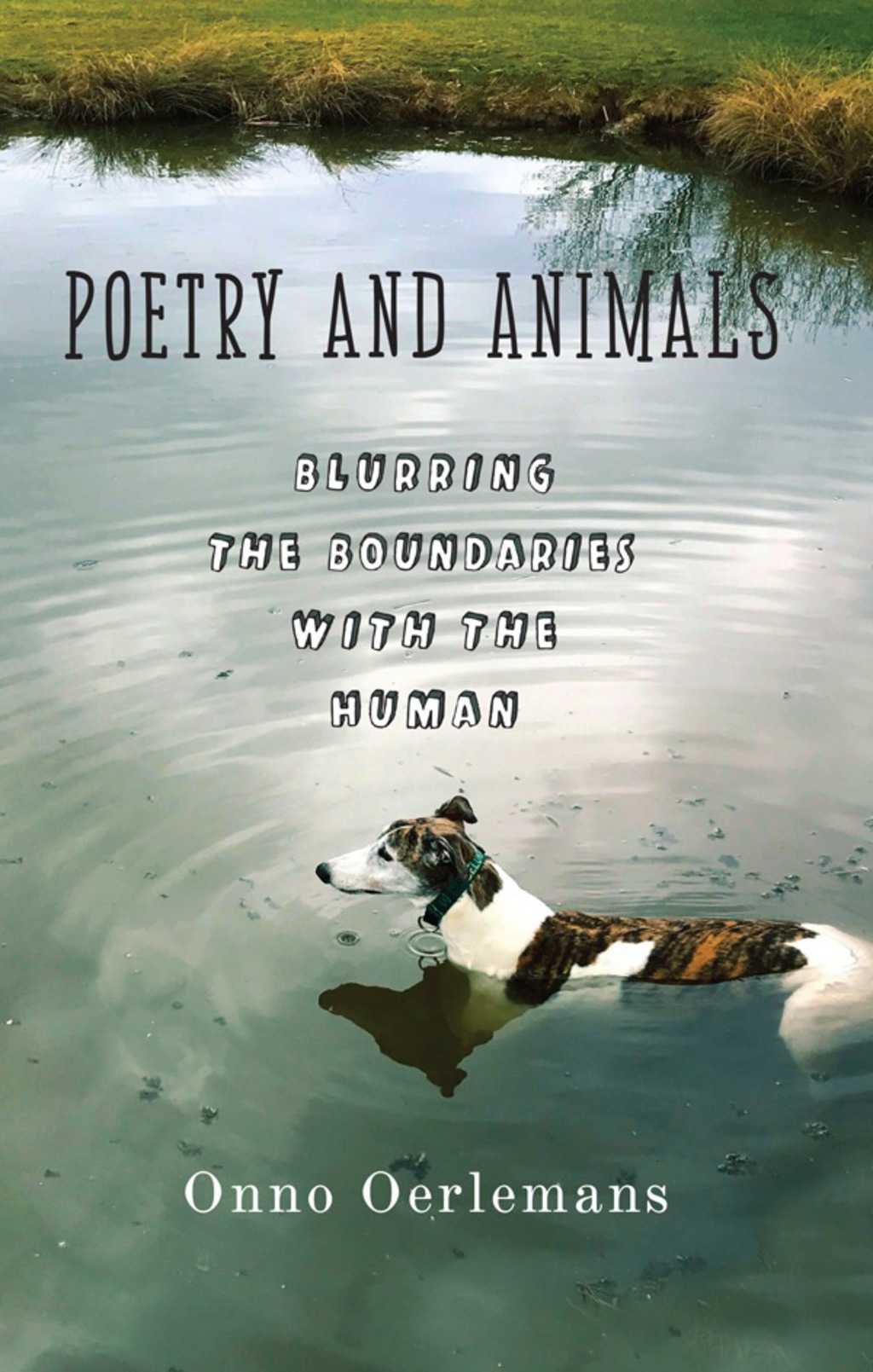 Poetry and Animals Blurring the Boundaries with the Human  â€“ PDF/EPUB Version Downloadable