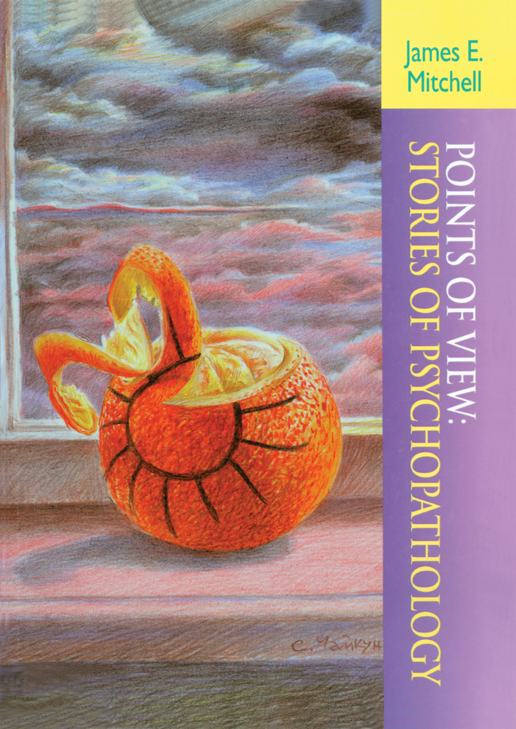 Points of View Stories of Psychopathology 1st Edition â€“ PDF/EPUB Version Downloadable