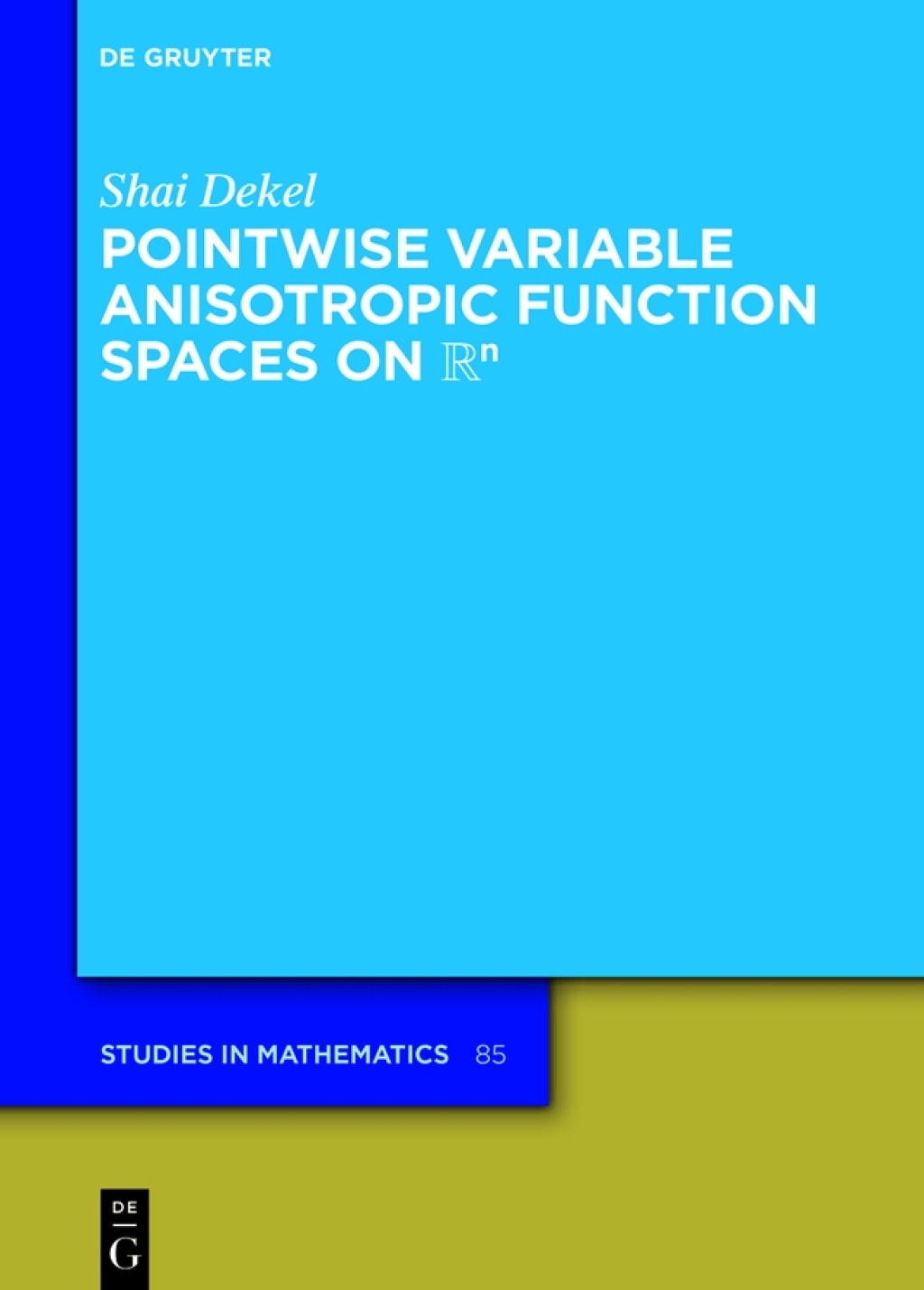 Pointwise Variable Anisotropic Function Spaces on â„â¿ 1st Edition â€“ PDF/EPUB Version Downloadable