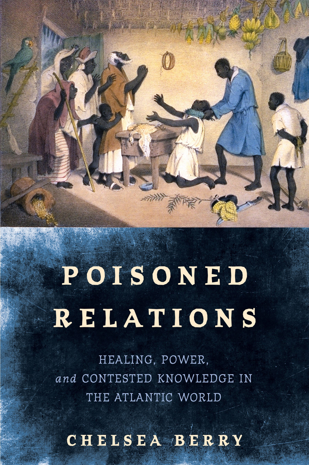 Poisoned Relations Healing, Power, and Contested Knowledge in the Atlantic World  â€“ PDF/EPUB Version Downloadable