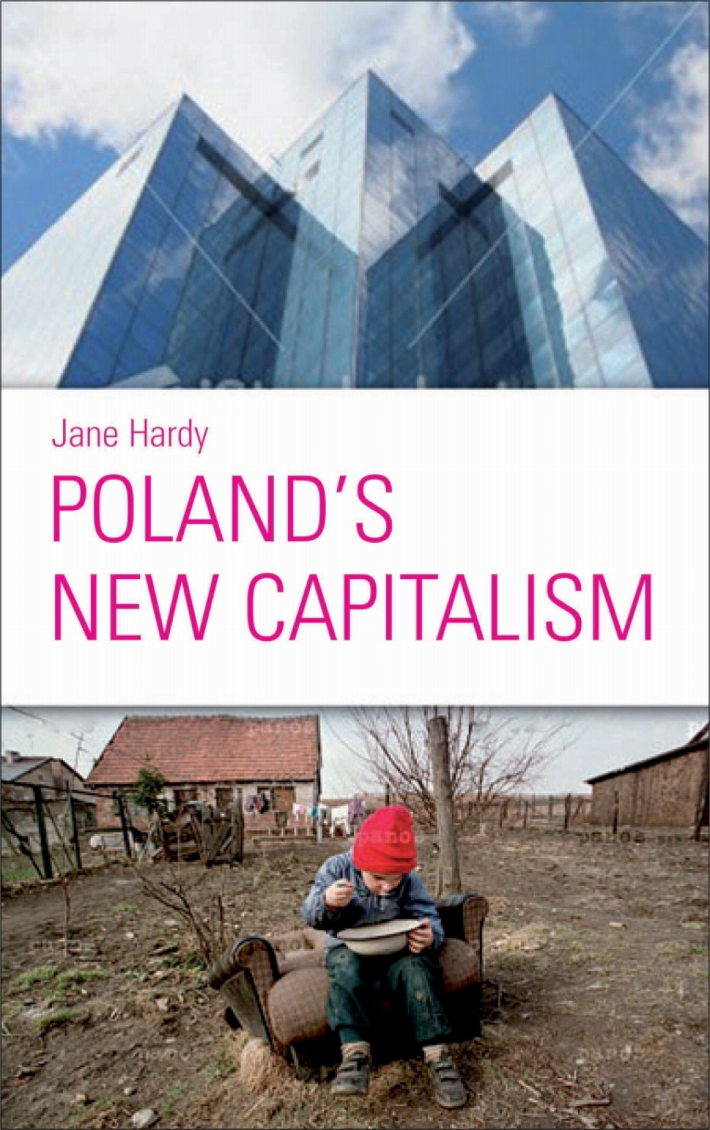 Poland's New Capitalism 1st Edition â€“ PDF/EPUB Version Downloadable