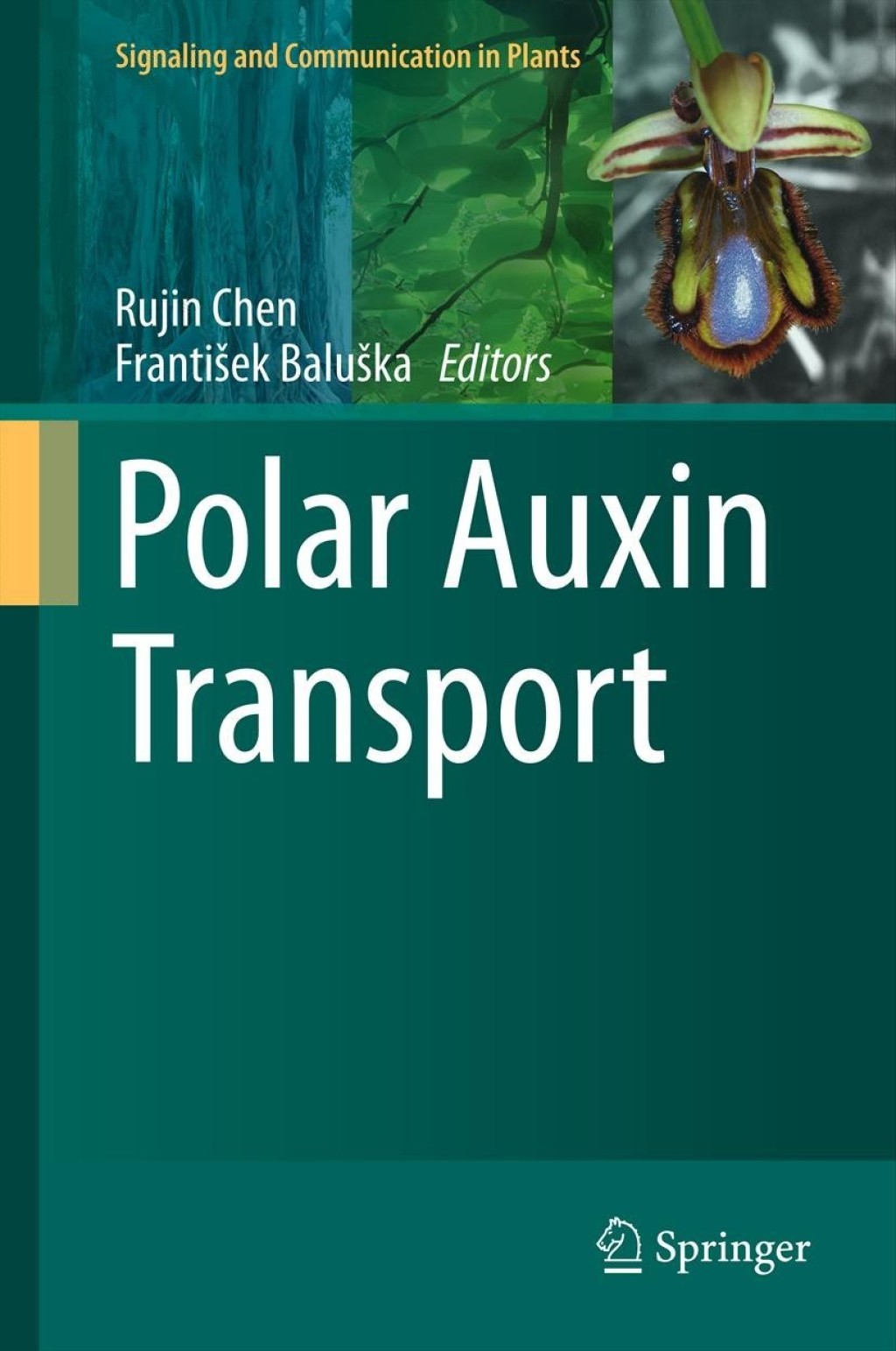 Polar Auxin Transport  â€“ PDF/EPUB Version Downloadable