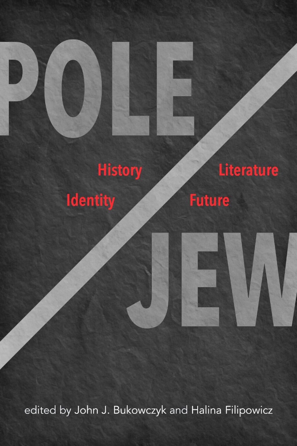 Pole/Jew History, Literature, Identity, Future  â€“ PDF/EPUB Version Downloadable