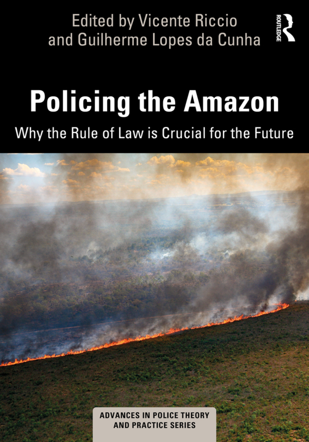 Policing the Amazon Why the Rule of Law is Crucial for the Future 1st Edition â€“ PDF/EPUB Version Downloadable