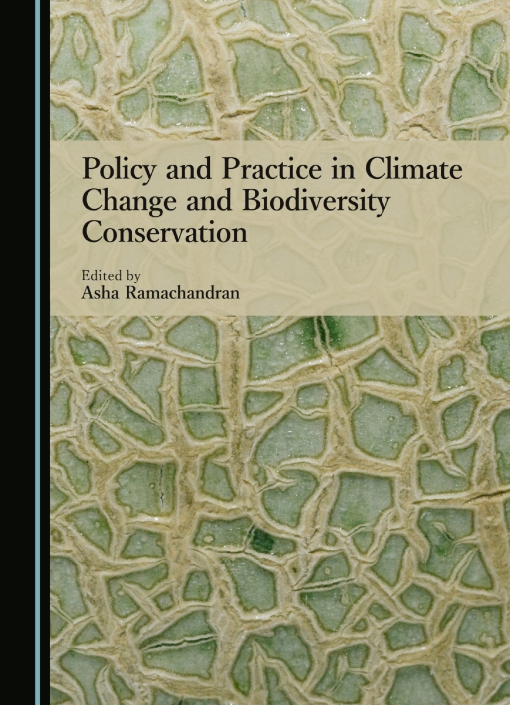 Policy and Practice in Climate Change and Biodiversity Conservation 1st Edition â€“ PDF/EPUB Version Downloadable