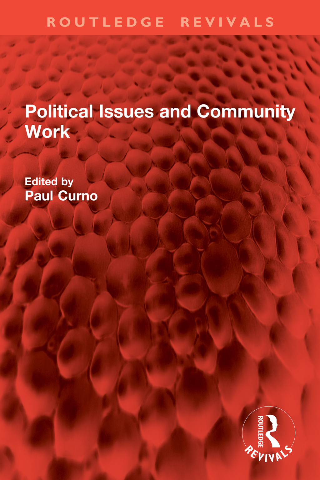 Political Issues and Community Work 1st Edition â€“ PDF/EPUB Version Downloadable