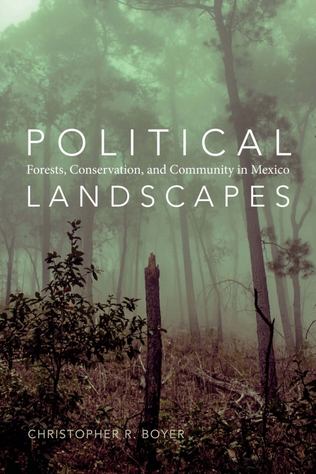 Political Landscapes Forests, Conservation, and Community in Mexico  â€“ PDF/EPUB Version Downloadable