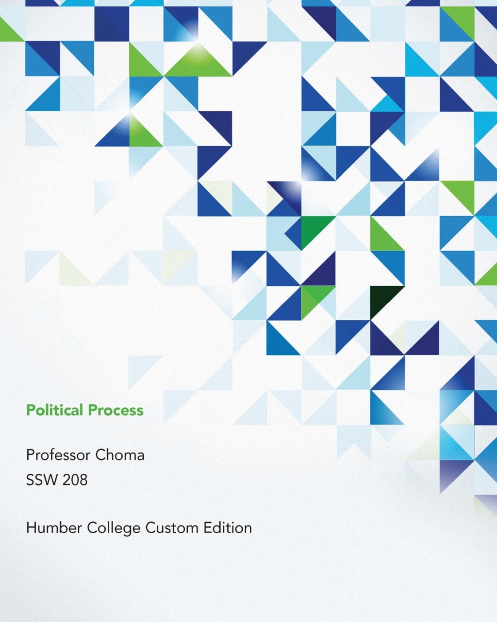 Political Process Professor Choma SSW 208 Humber College Custom Edition  â€“ PDF/EPUB Version Downloadable