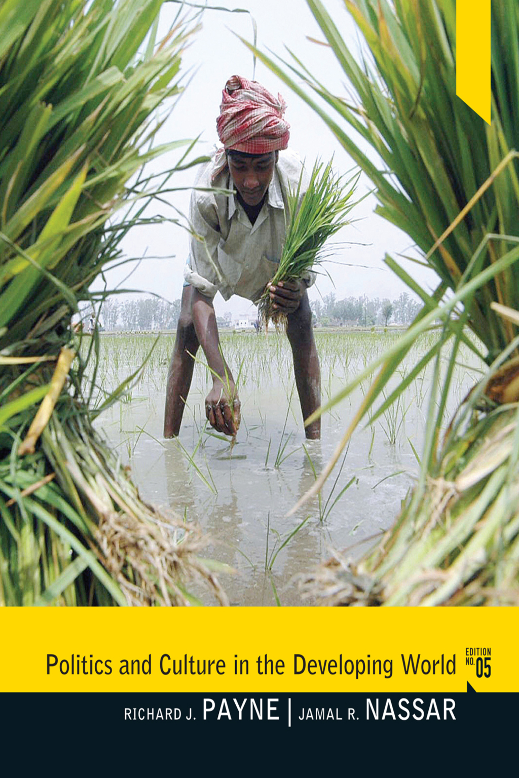 Politics and Culture in the Developing World 5th Edition â€“ PDF/EPUB Version Downloadable