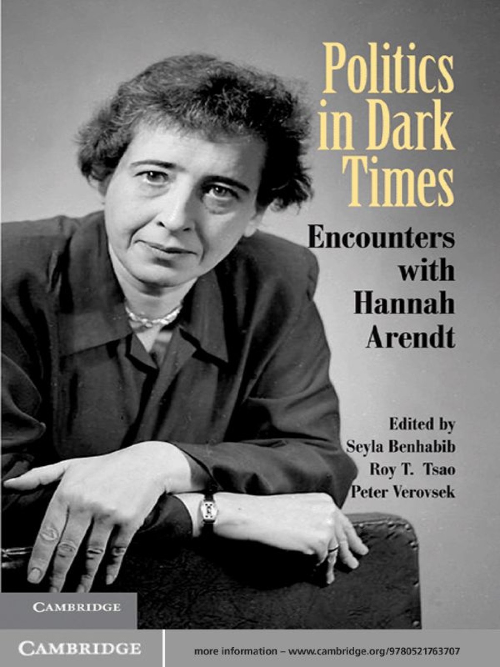 Politics in Dark Times Encounters with Hannah Arendt 1st Edition â€“ PDF/EPUB Version Downloadable