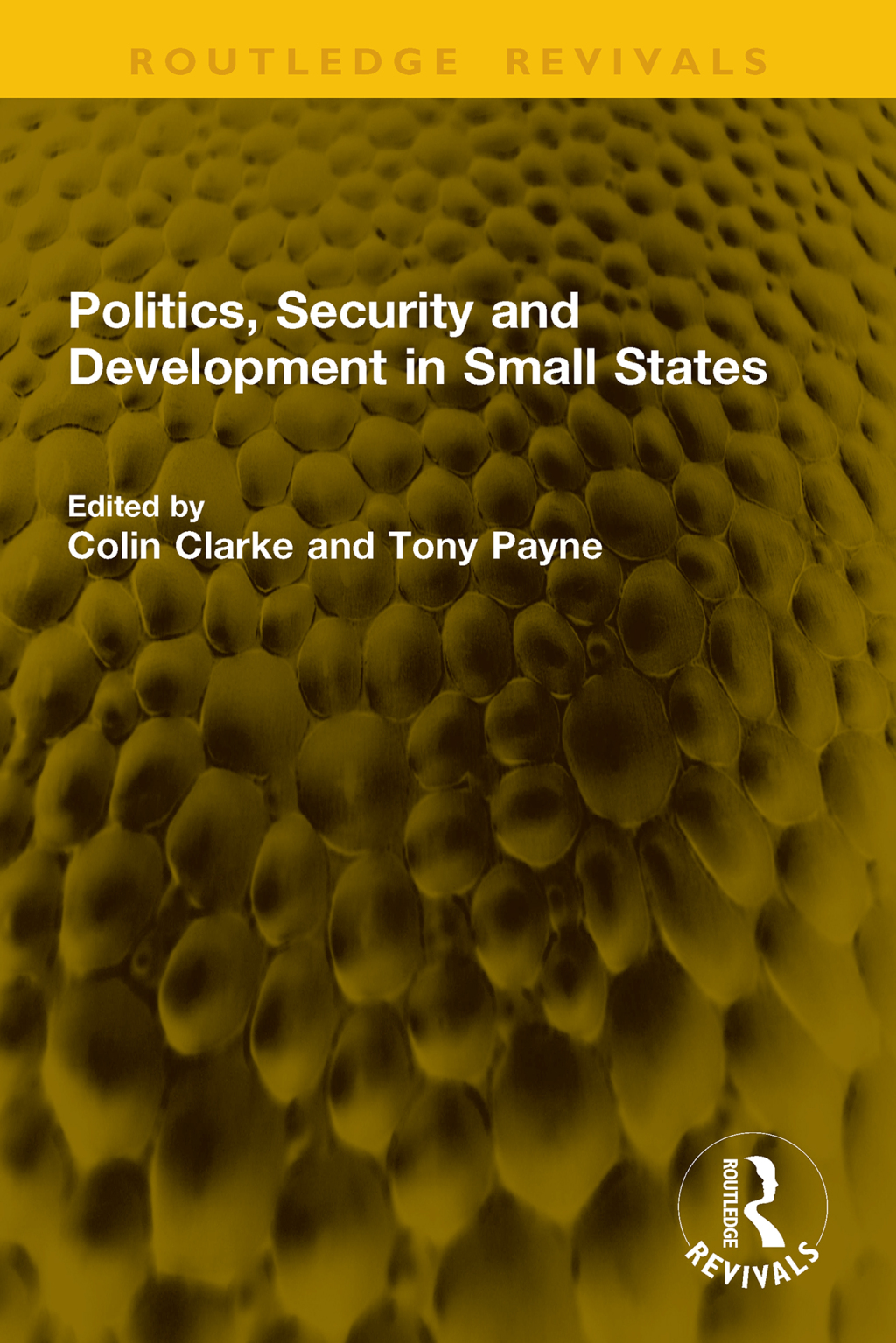Politics, Security and Development in Small States 1st Edition â€“ PDF/EPUB Version Downloadable