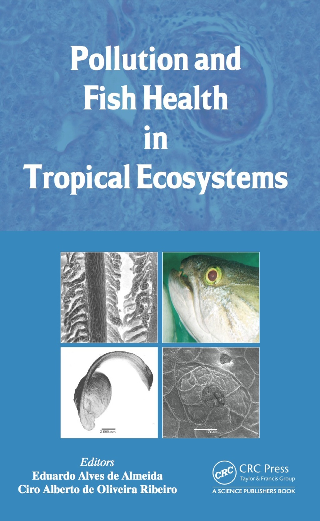 Pollution and Fish Health in Tropical Ecosystems 1st Edition â€“ PDF/EPUB Version Downloadable