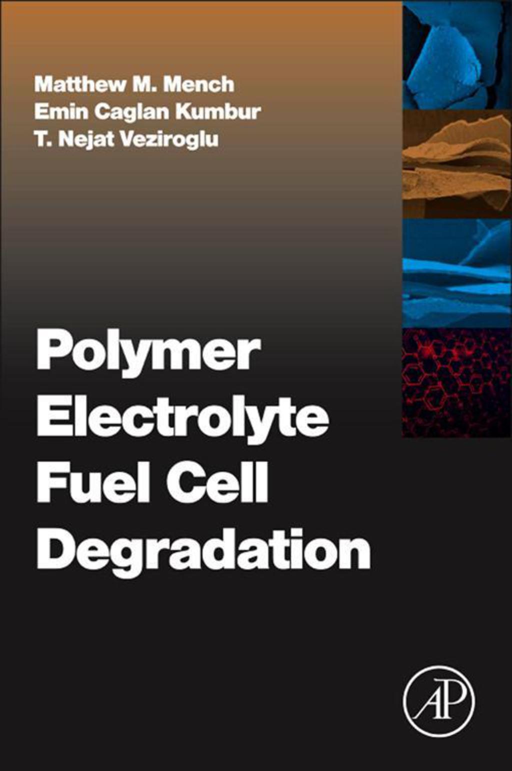 Polymer Electrolyte Fuel Cell Degradation  â€“ PDF/EPUB Version Downloadable