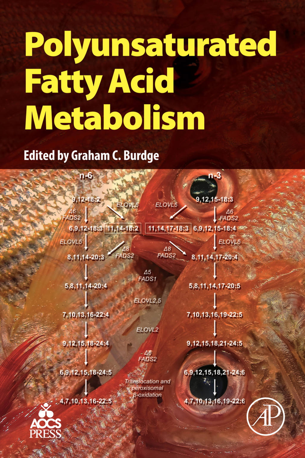 Polyunsaturated Fatty Acid Metabolism  â€“ PDF/EPUB Version Downloadable